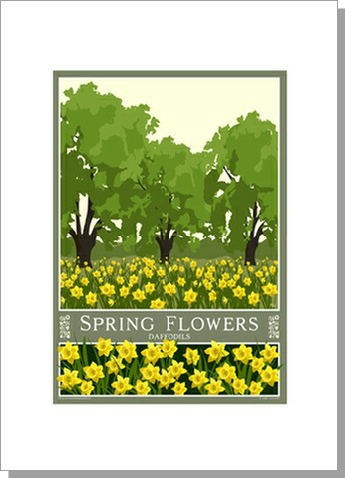 Spring Flowers Daffodils 