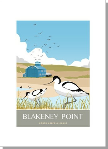 Blakeney Point Avocets Morston
