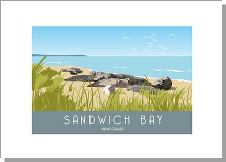 Sandwich Bay Seals